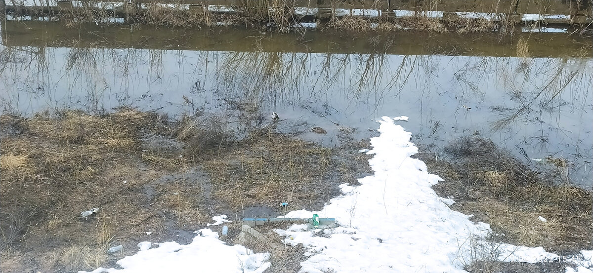 Загадка.. Кто увидит уток на фото ставьте плюс в комментариях и пишите)!