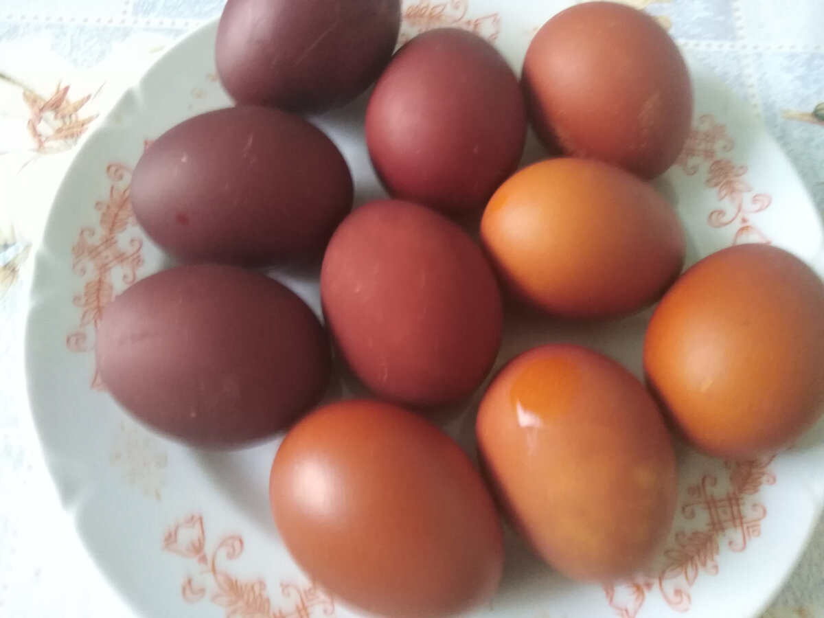 Яйца окрашенные в луковой шелухе