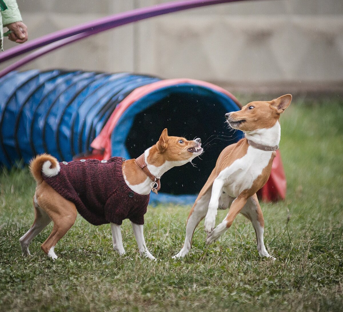 Конфликт- наглядно