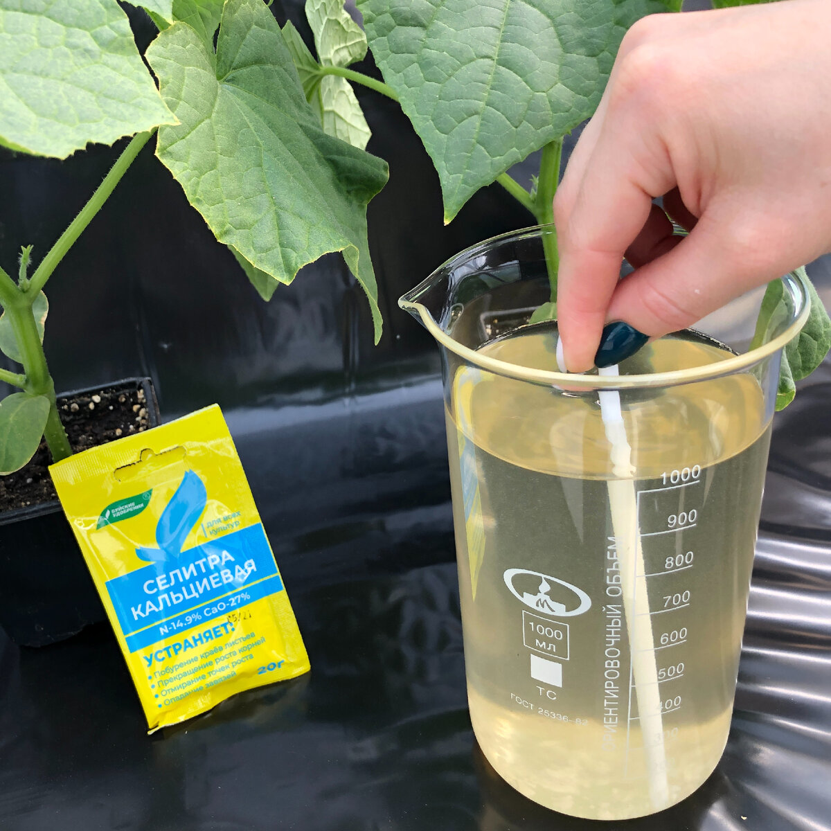 Селитра. Какая бывает и зачем нужна. | Буйские Удобрения | Дзен