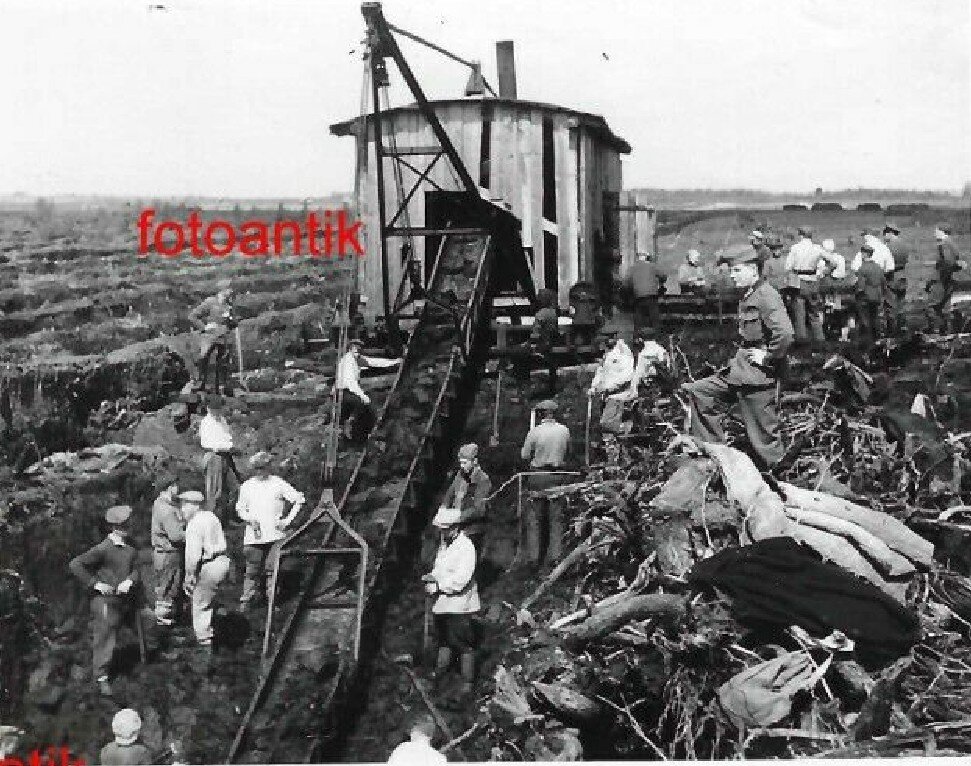 Торфяное поле сначала осушают густой сетью каналов. Потом раскорчевывают. Ставят такую драгу. Торф нарезают кусками и кладут на транспортерную ленту. 