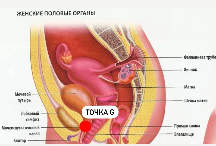 Три техники вагинальных фрикций, которые выведут качество секса на новый уровень