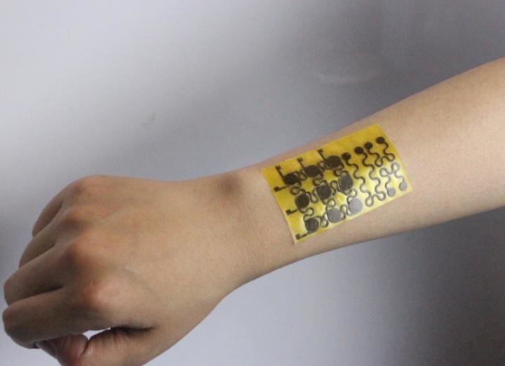 Секция E-Skin. Фото: Jianliang Xiao / University of Colorado Boulder.