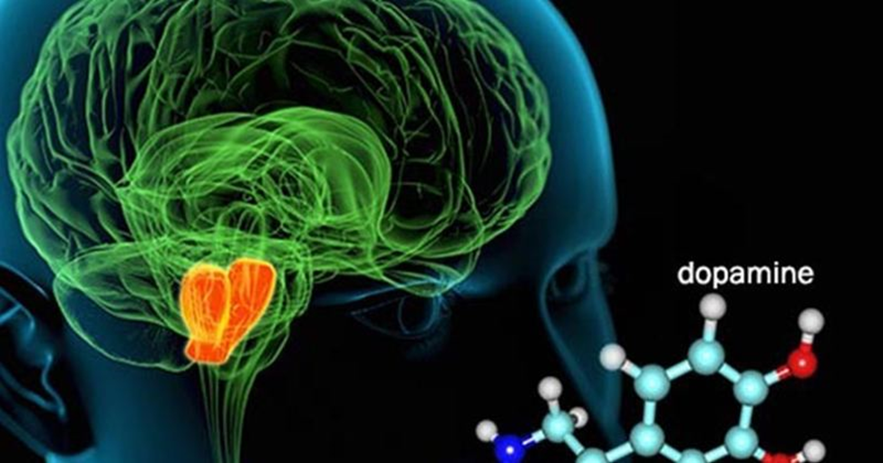 Dophamine. Дофамин. Дофамин нейромедиатор. Допамин гормон. Дофамин фото.