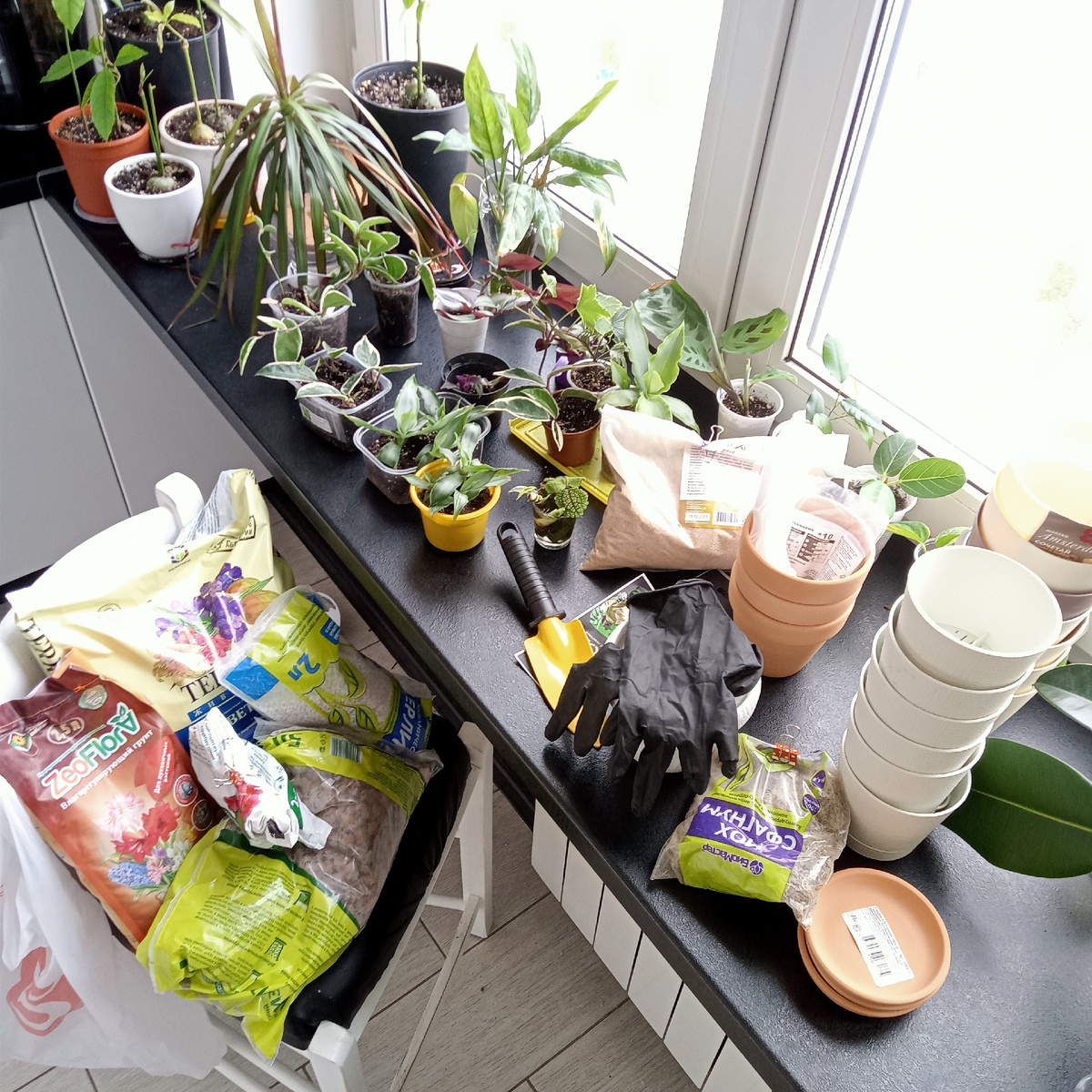 Подготовка к пересадке