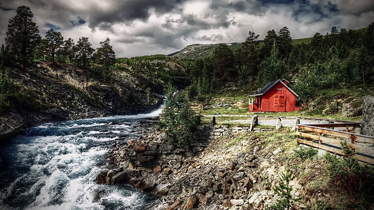 Яндекс Картинки