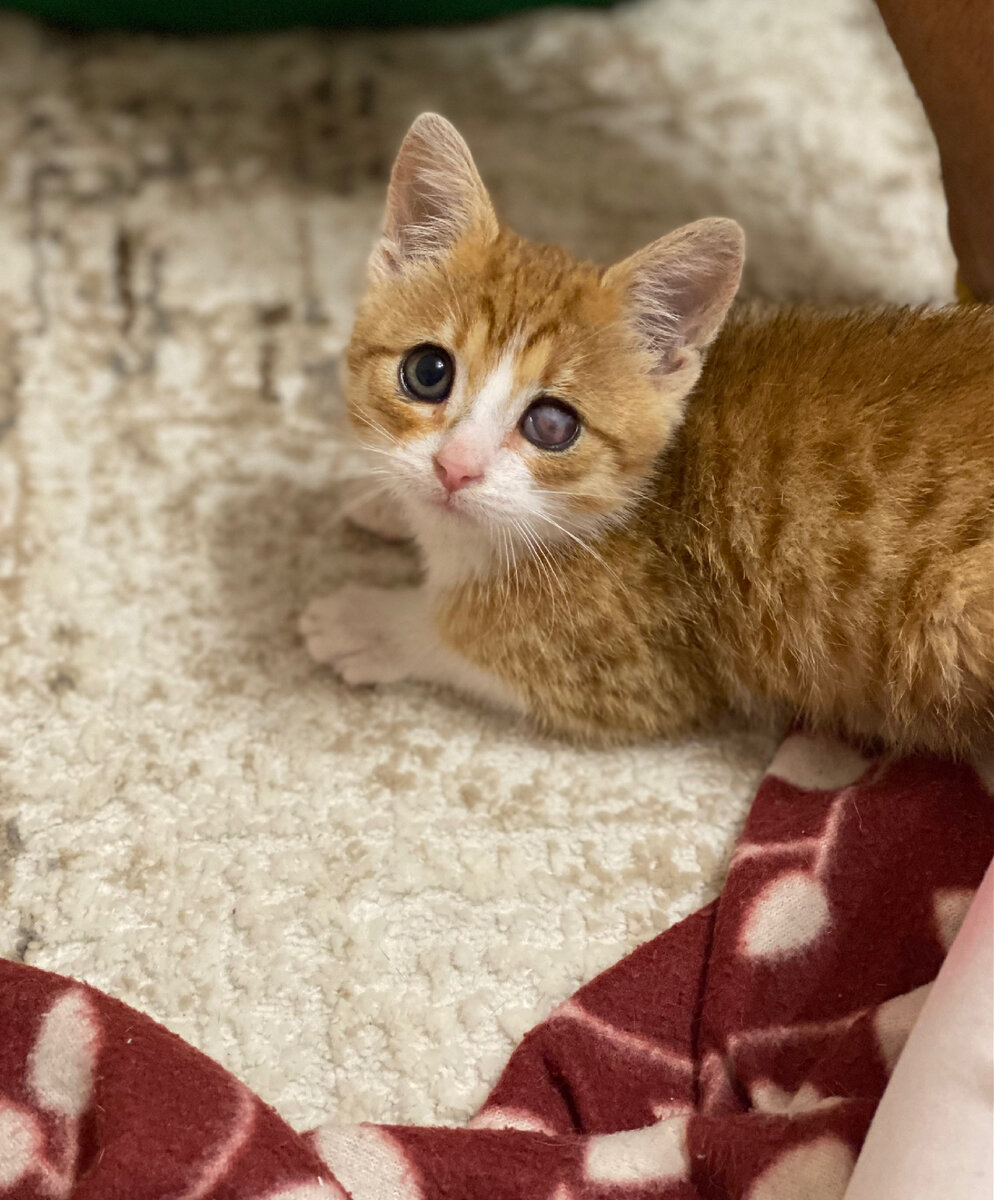 Состояние глазика на данный момент 