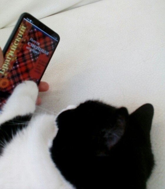 

Китти скроллит Брагинского и не хочет в СССР