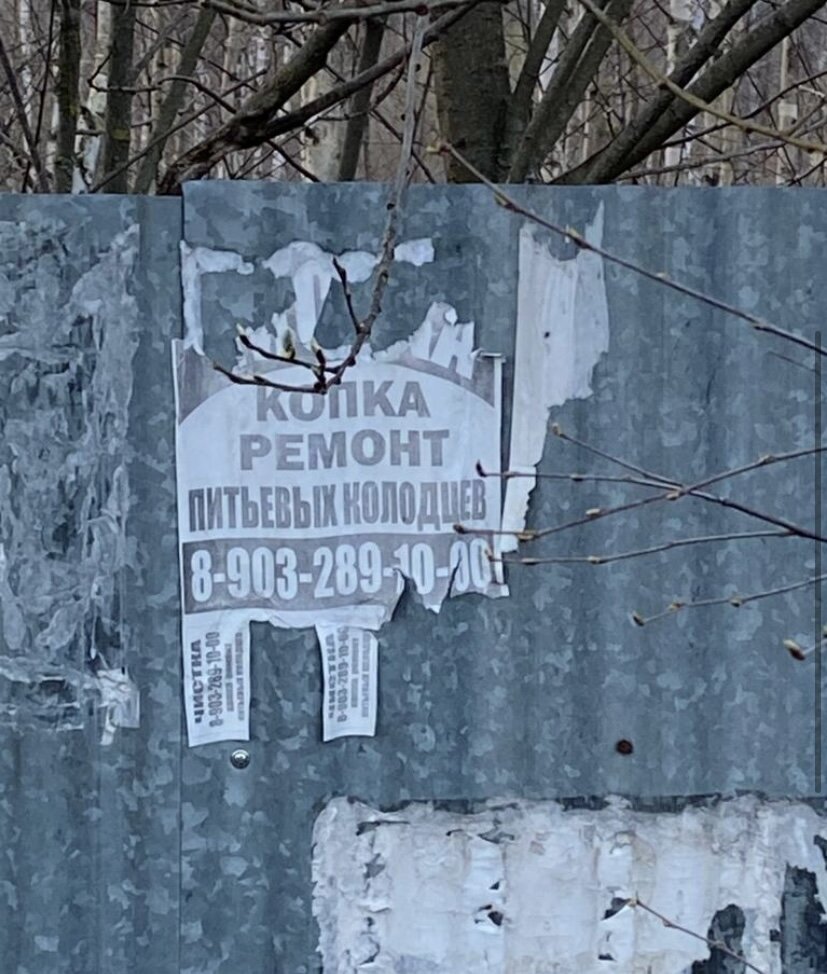 Одно из них