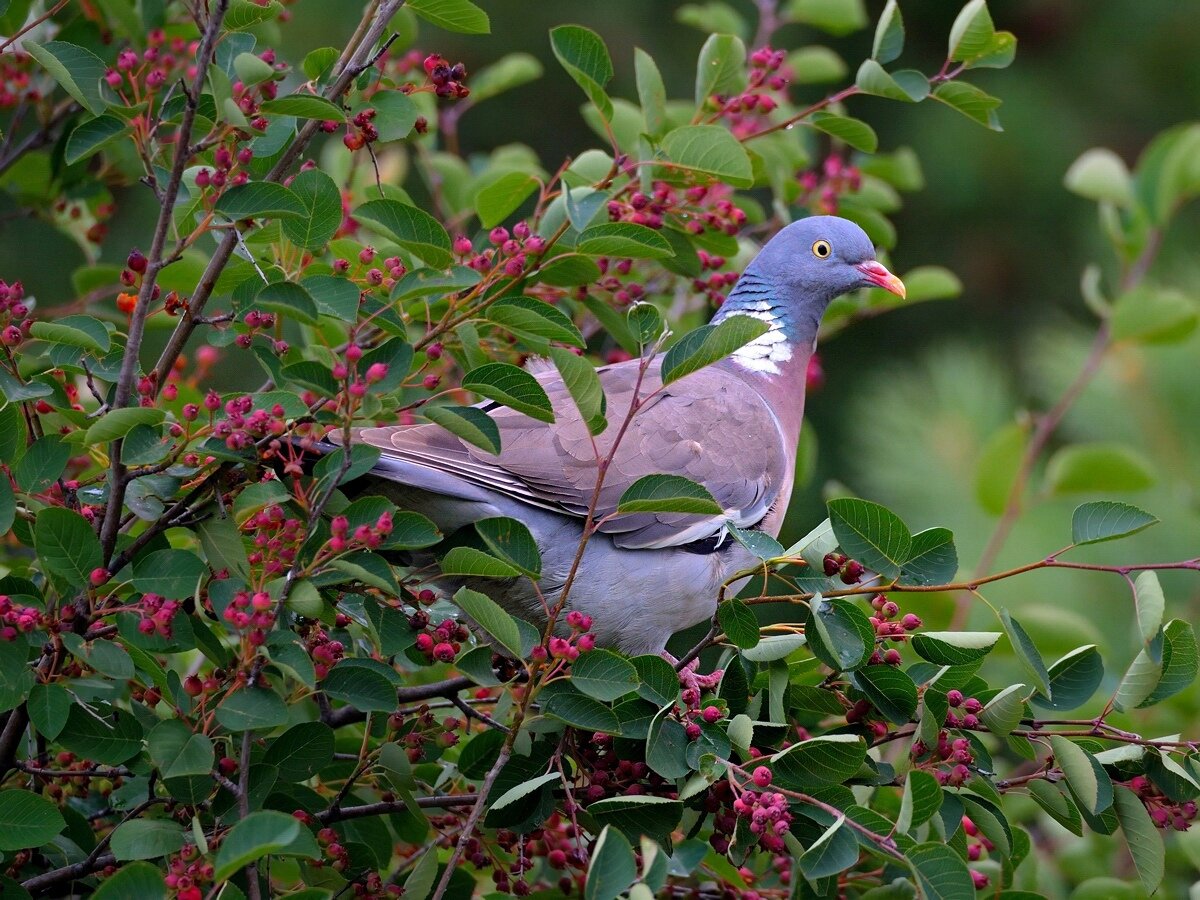 фото Влад Владиленов 