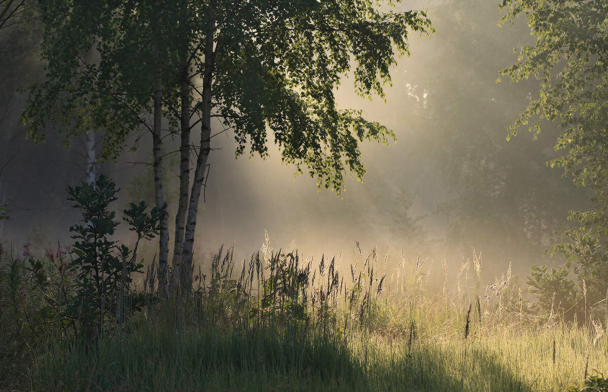 фото из интернета