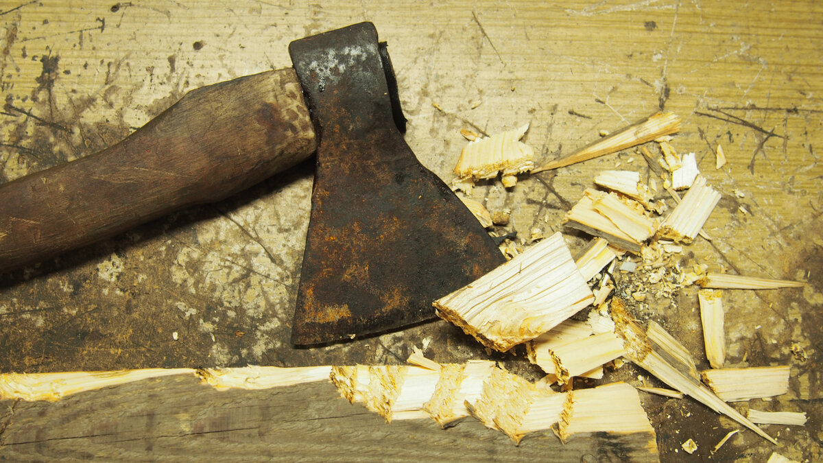 фото из интернета