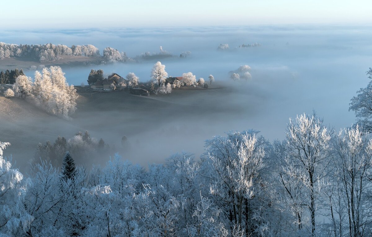 Как это выглядело во сне