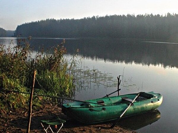     Фото: Гуляева Сергея.
