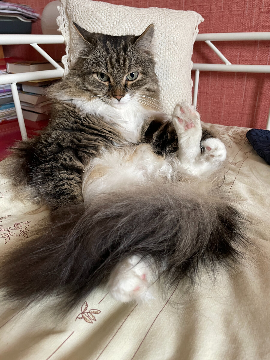 задумался...