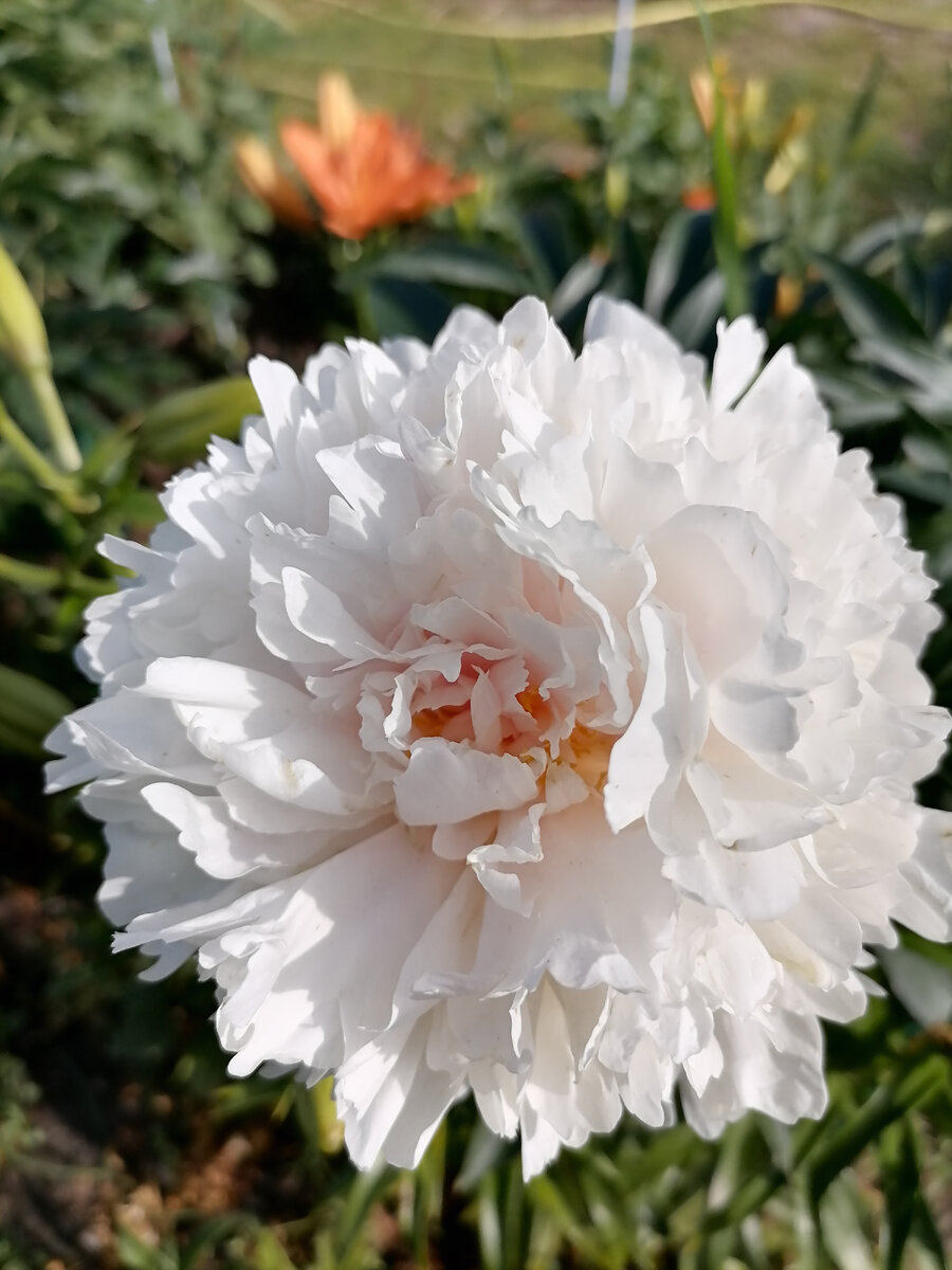 Фото из личного архива 