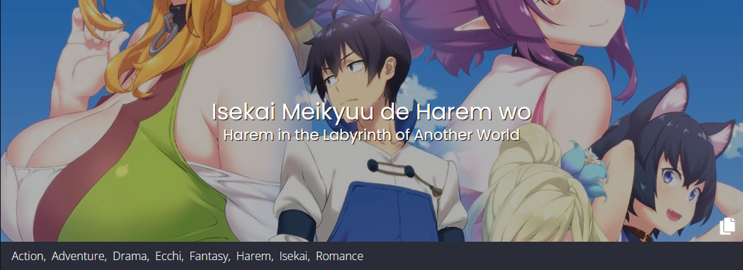 Гарем рабов в лабиринте другого мира