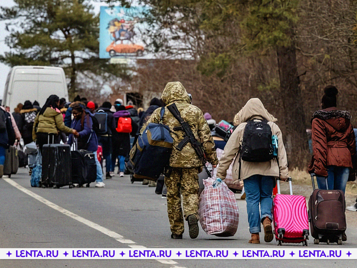 Фото: Yanosh Nemesh / Shutterstock / Fotodom