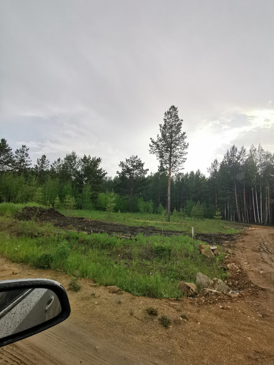 Этот участок понравился с первого взгляда