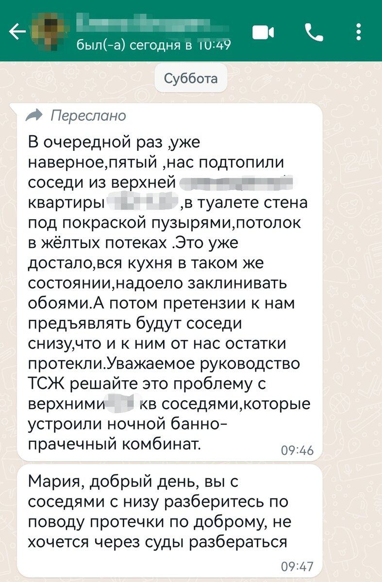 Как соседка меня засудить хотела, но что-то пошло не так. | Маша Б-С | Дзен