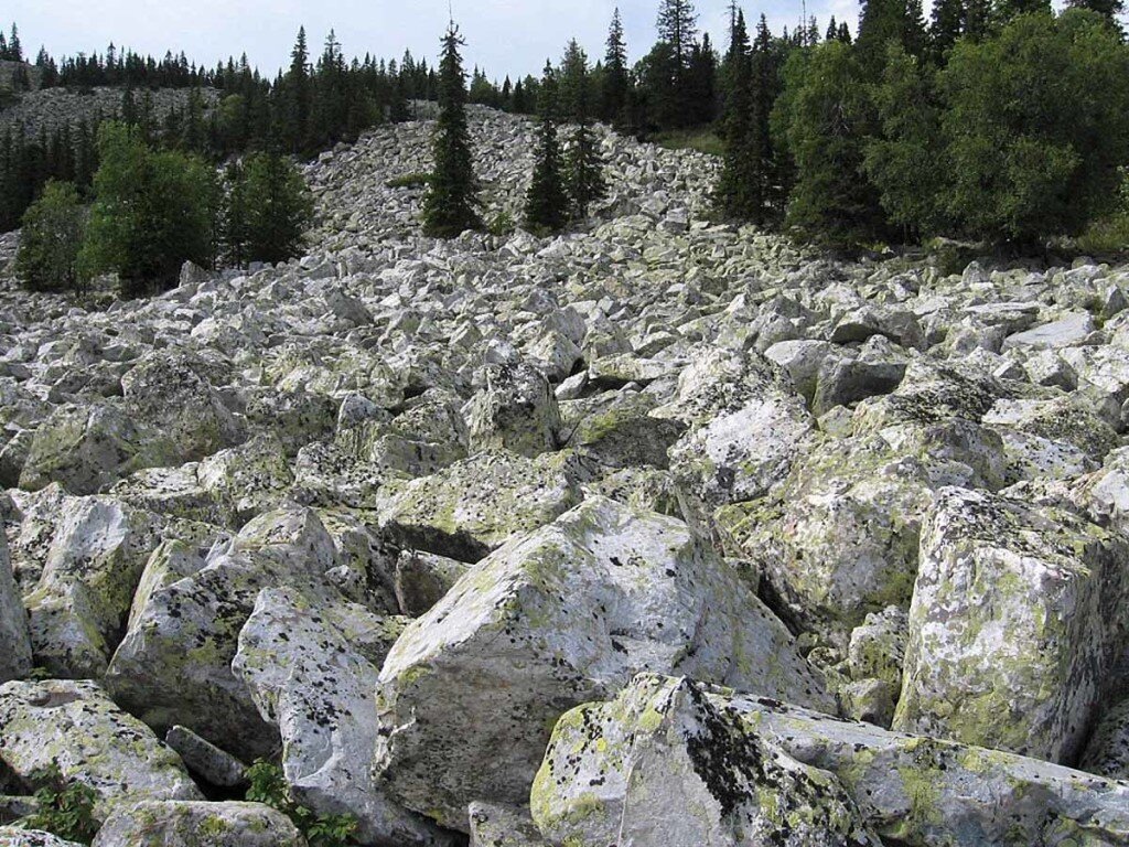 Каменные реки курумы