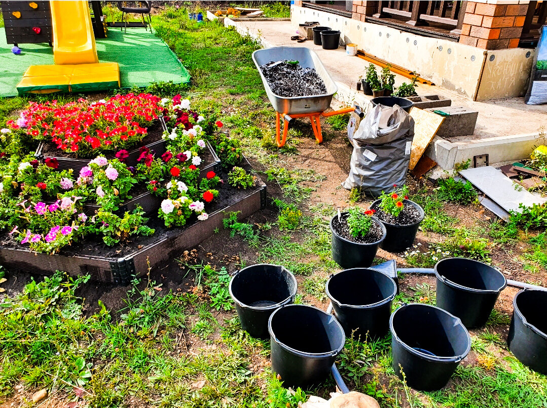 Вот так проходят выходные цветовода