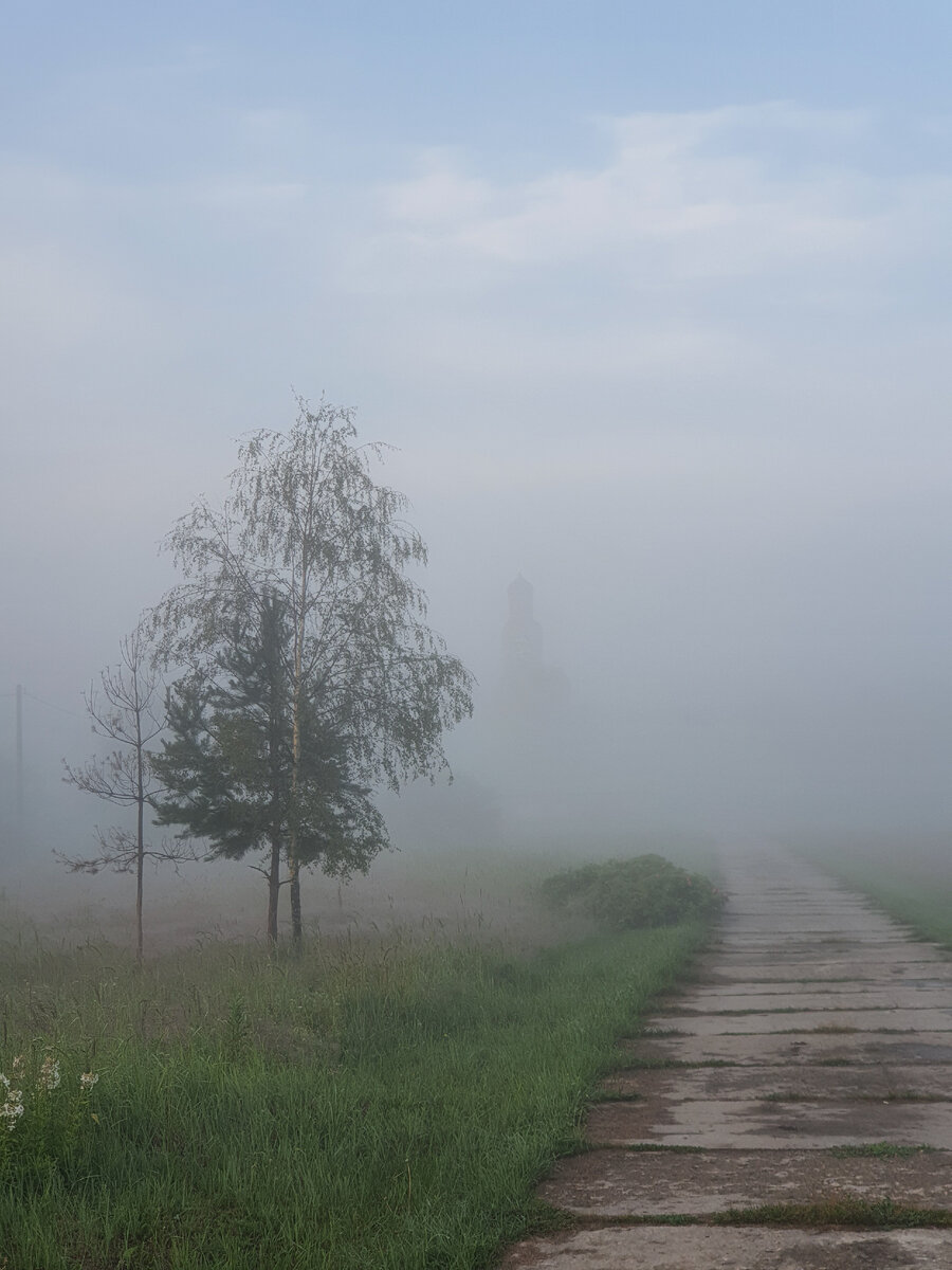 Ночью прошёл дождь, и вот такие там были туманы