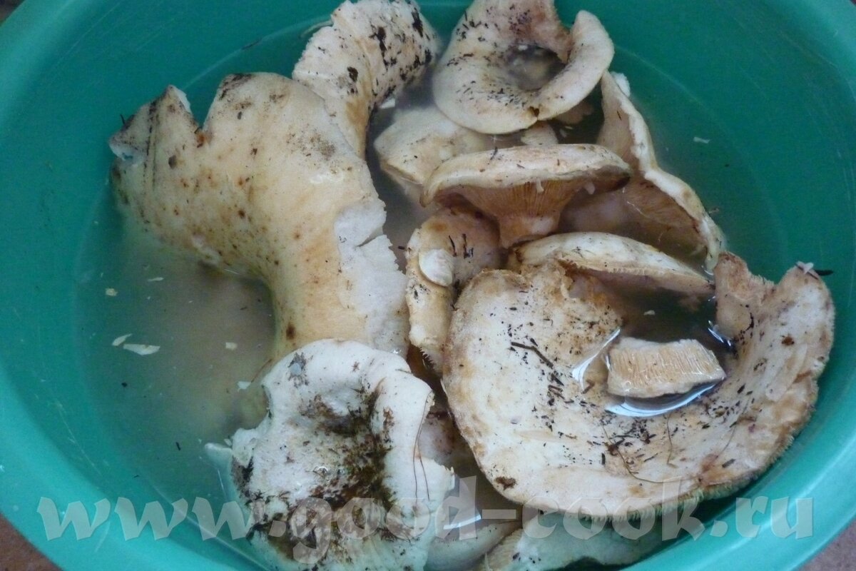 Самые свежие рецепты для Вас!