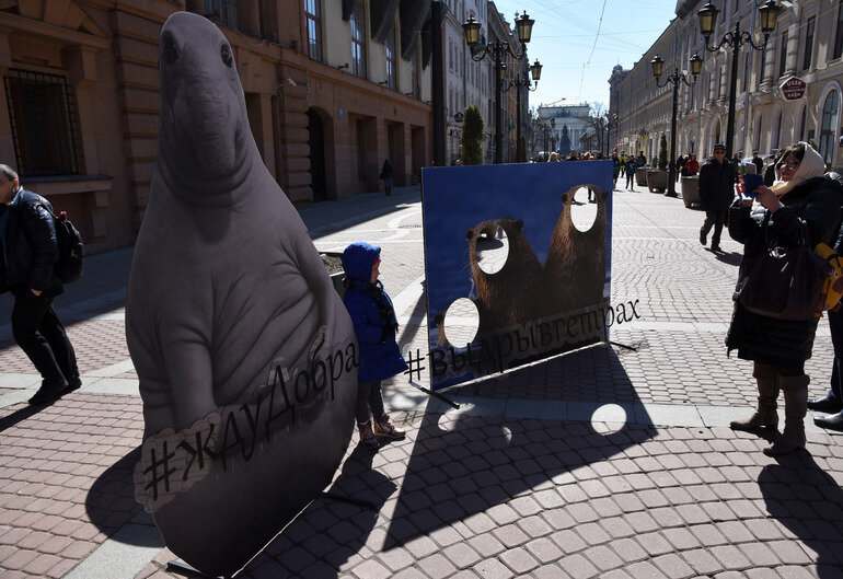    Фото: Baltphoto /Андрей Пронин