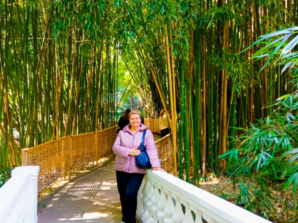 Бамбуковая аллея. 