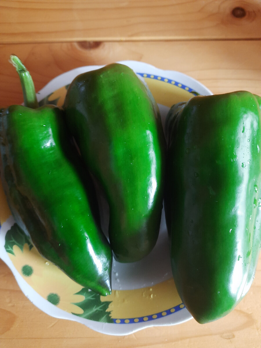 Все растёт вширь и в длину