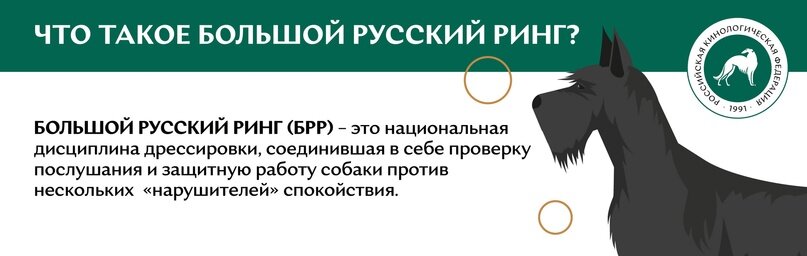 Что такое большой русский ринг (БРР)