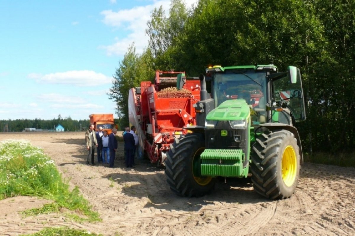    Депутаты облдумы оценили ход уборки картофеля в хозяйствах Брянщины