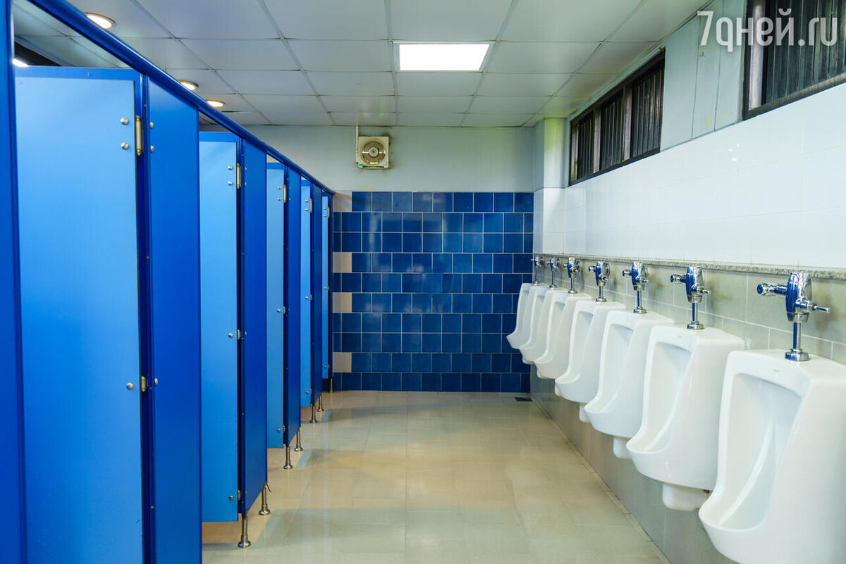    К чему снится туалет 123RF/legion-media.ru