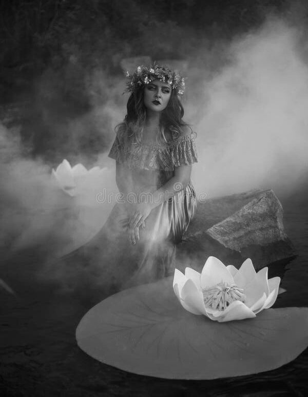 Фото из открытого источника 