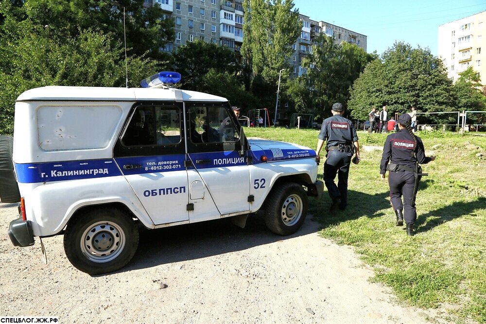 Доблестная полиция