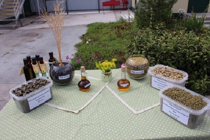    «Сибирская олива» стала призером окружного этапа конкурса «Экспортер года»