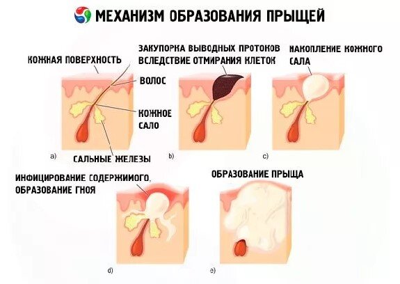 Фото:superwoomen.ru