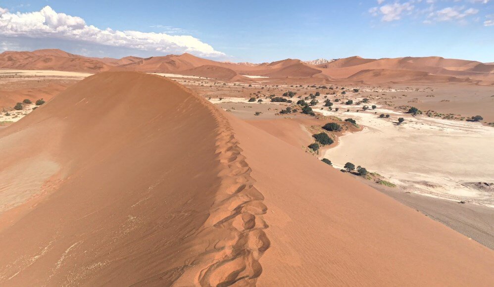 Самая большая по площади пустыня земли. Почва пустыни Намиб. Самая древняя пустыня на земле. Пустыня Старая. Хность земли в пустыне.