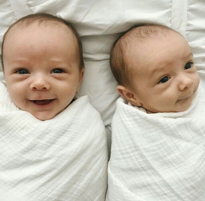 Девочки близняшки. Смешные дети. Двойняшки твинс. Многоплодная беременность в утробе. Эко двойня.