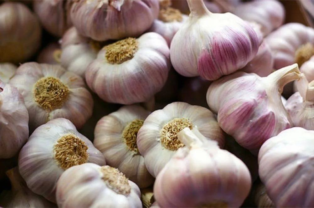 источник фото: food-wiki.ru