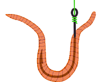 Дзен не жалует изображения живности, поэтому представлю рисунок вместо фото