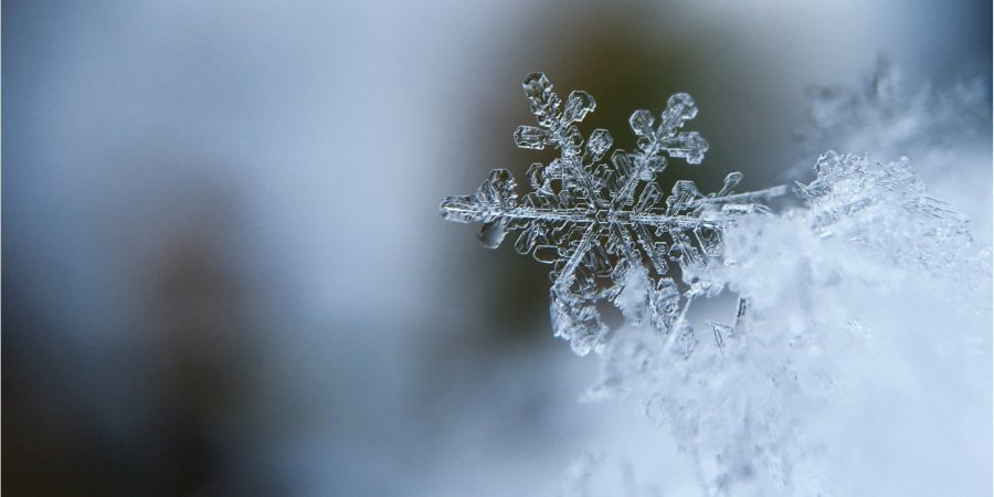 Зима в Украине будет рекордно холодной 
Aaron Burden / Unsplash