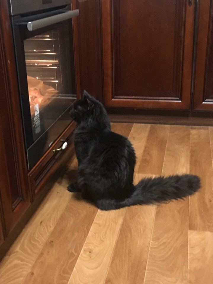 Ай! уже не альденте! 