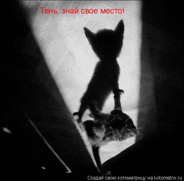 тень тень знай свое место. тень знай свое место. работа со страхами. тень знай свое место. тень знай свое место.