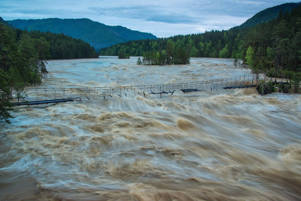 Уровень воды в катуне на сегодня. Наводнение в Горном Алтае 2014. Наводнение Катунь 2014. Катунь наводнение. Горный Алтай наводнение.