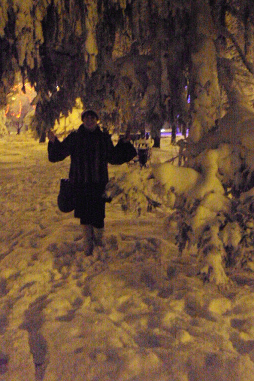 СТАВРОПОЛЬСКИЙ СНЕГОПАД