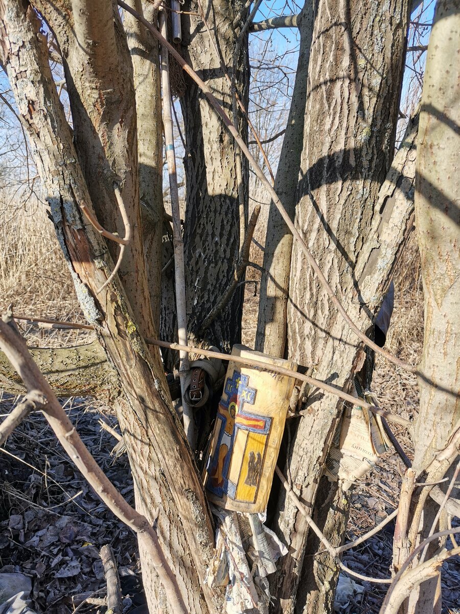 Дерево памяти
