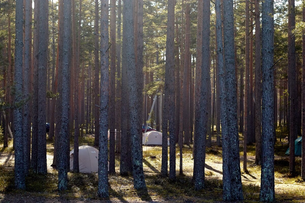 Фото: https://vk.com/ladogahelp