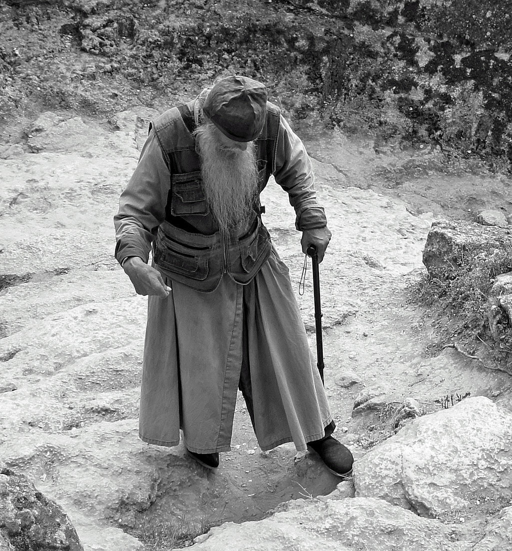 Фото взято с ресурса Яндекс. Картинки